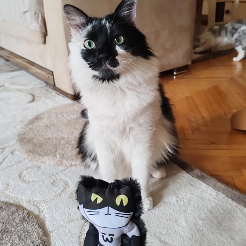 Mymeow Batmeow Finger Teaser Cat Toy