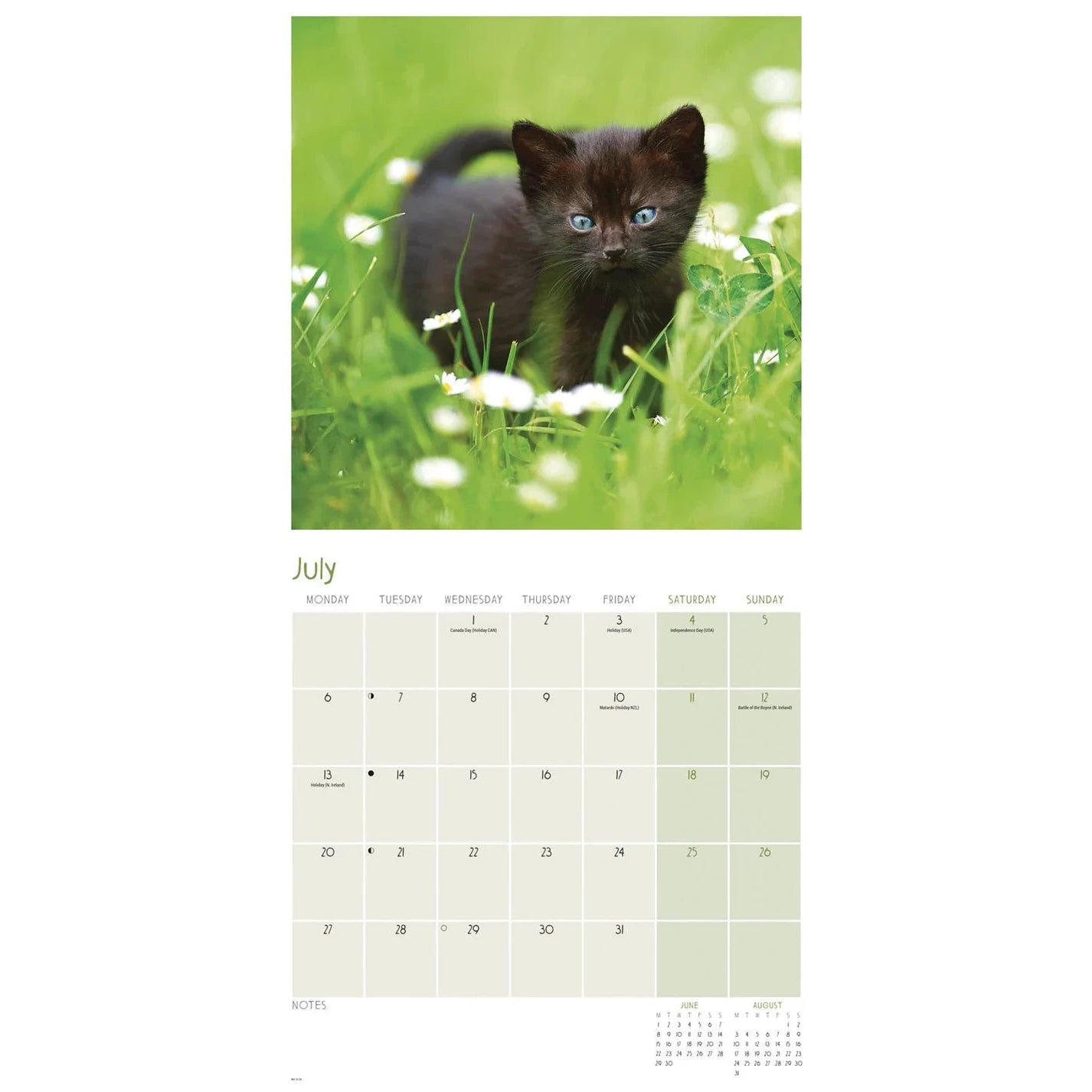 Black Cats Square Wall Calendar 2026
