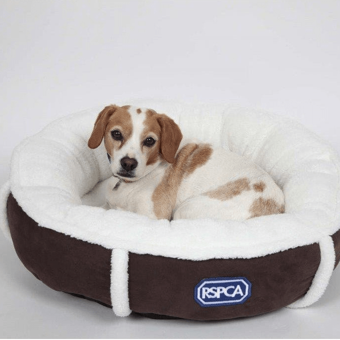 RSPCA Snuggle Dog or Cat Bed