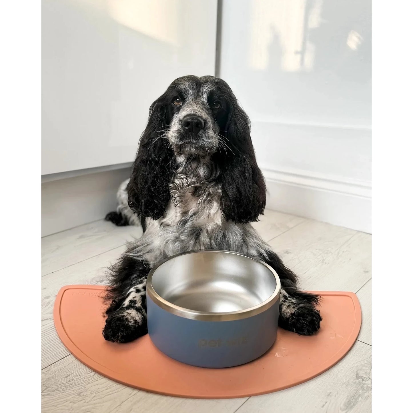 Stainless Steel Double Walled Dog Bowl - Grey