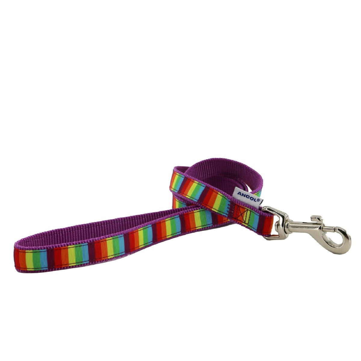Nylon Rainbow Dog Lead - 1m x 19mm