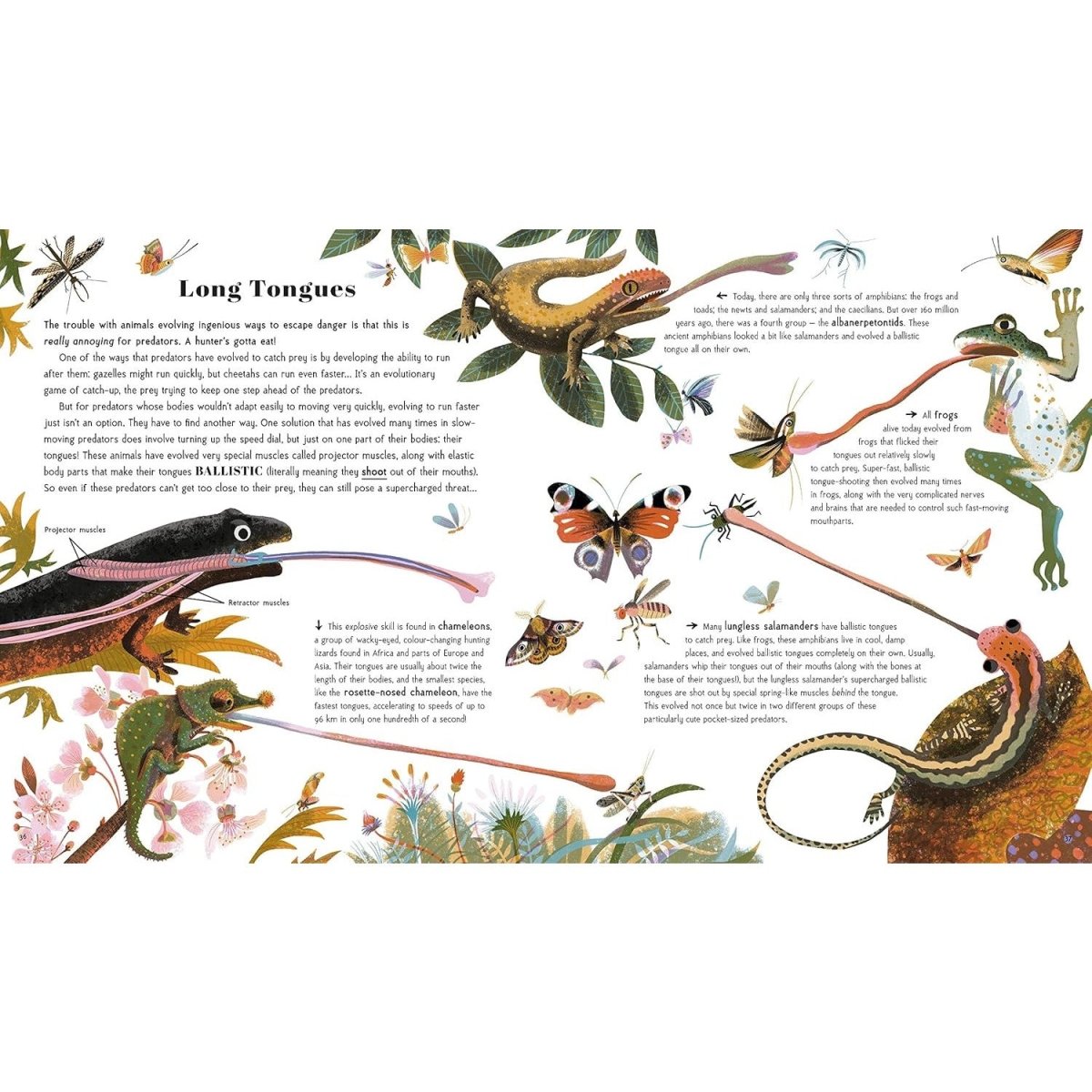 Awesome Animal Evolution