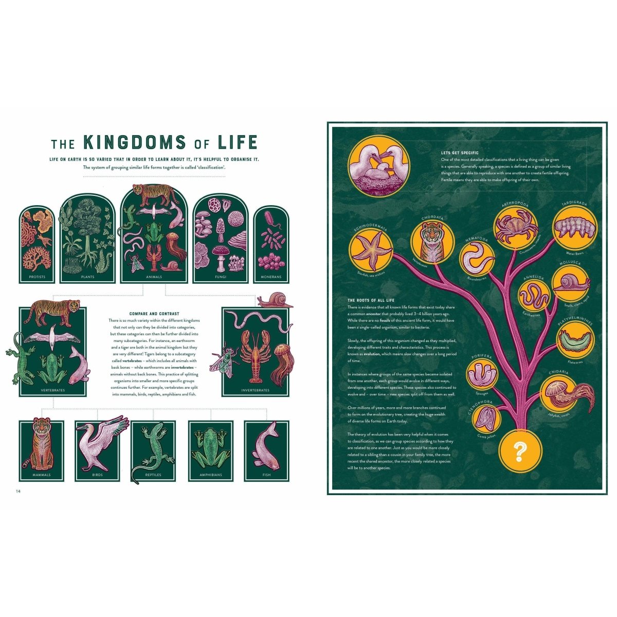 Life: The Wonders of Biodiversity