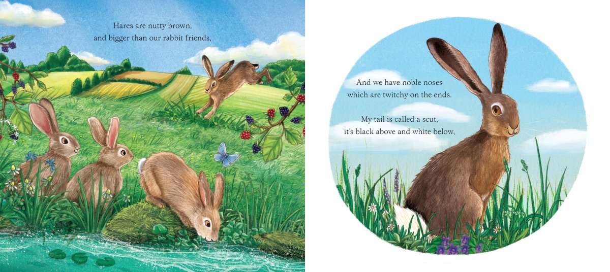 I am Hattie the Hare