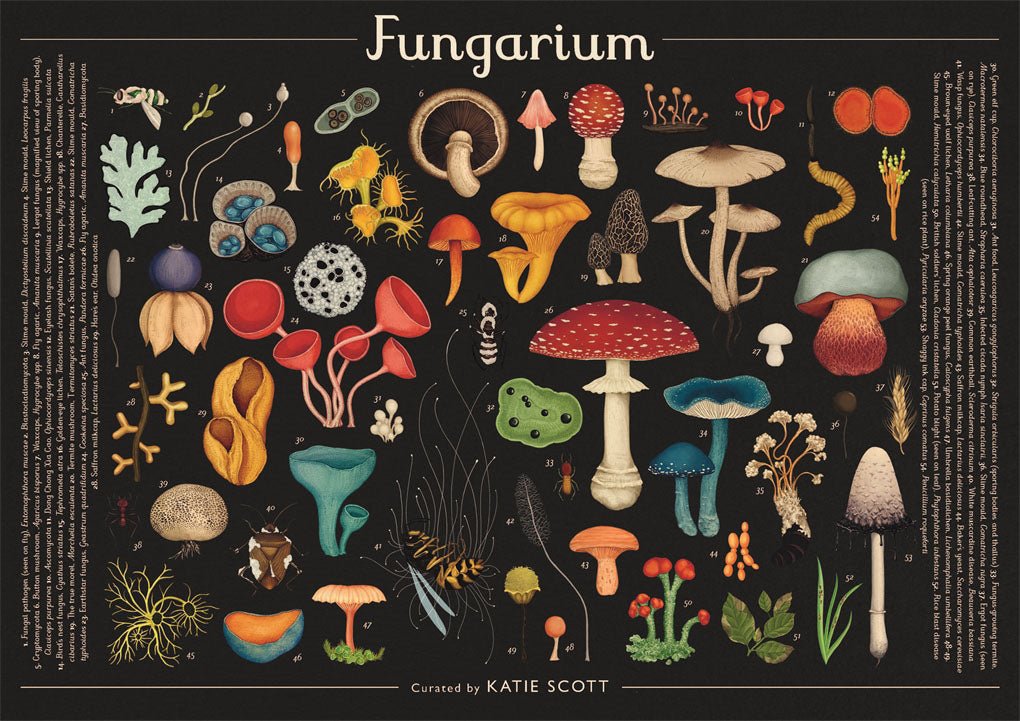 Fungarium Jigsaw Puzzle - 1000 piece