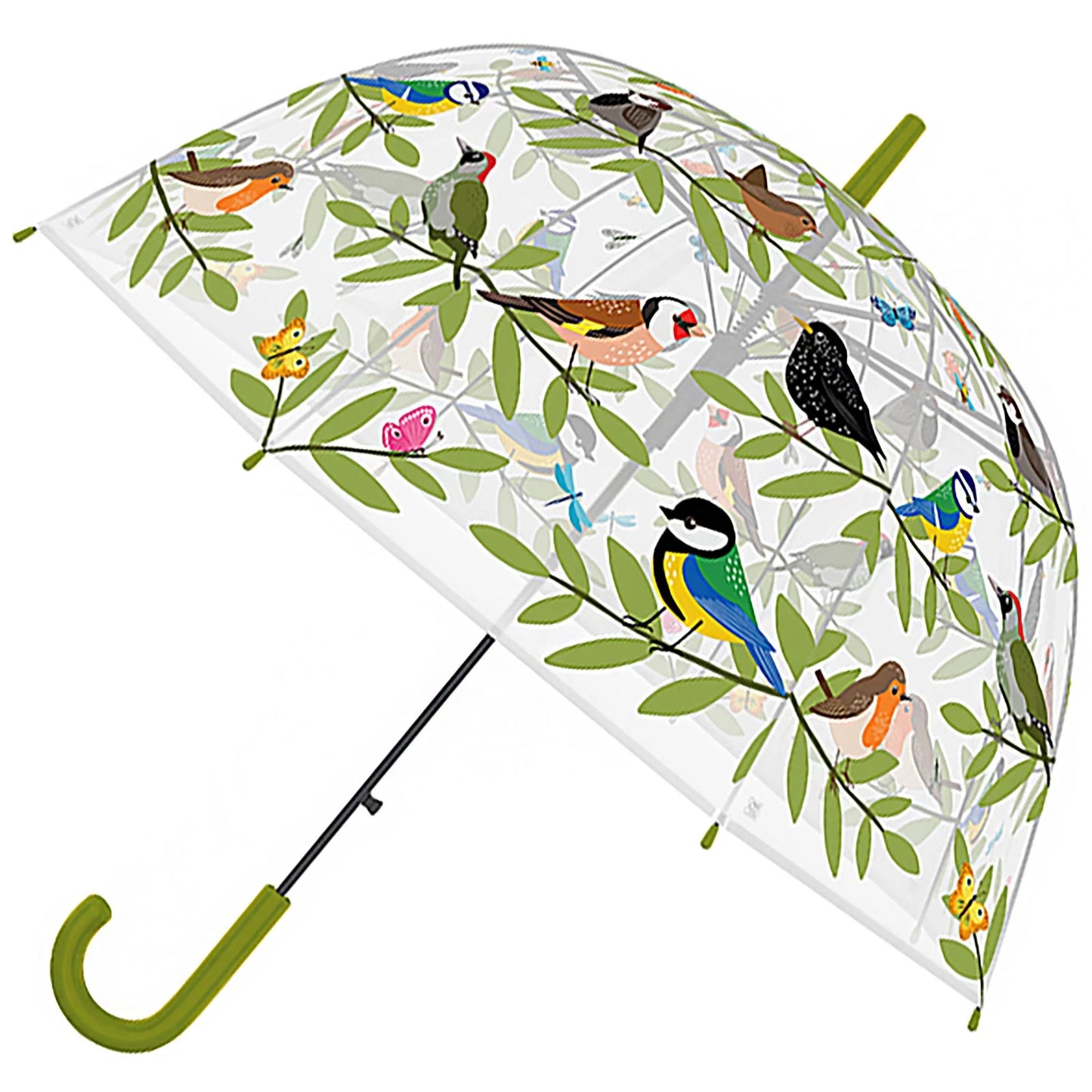 Bird Club Transparent Dome Umbrella