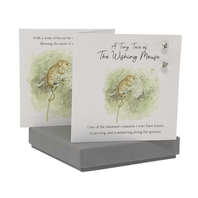 Tiny Tale Of The Wishing Mouse Extending Card With Silver Earrings