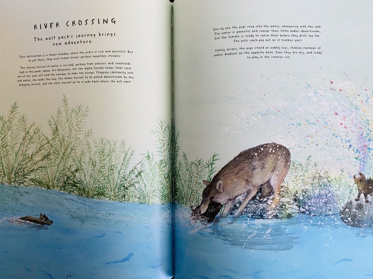 Fourteen Wolves: A Rewilding Story