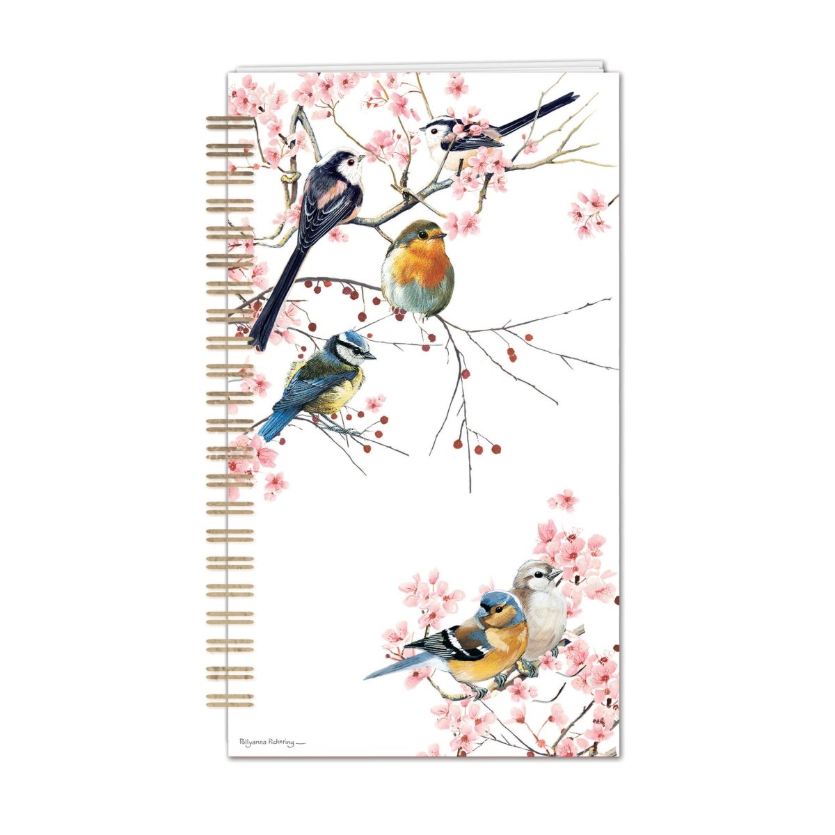 Birds, Blossom & Berries by Pollyanna Pickering - Password Book