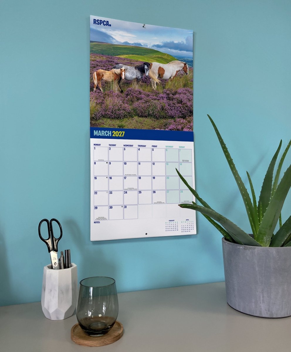RSPCA British Horses & Ponies - Square Wall Calendar 2027