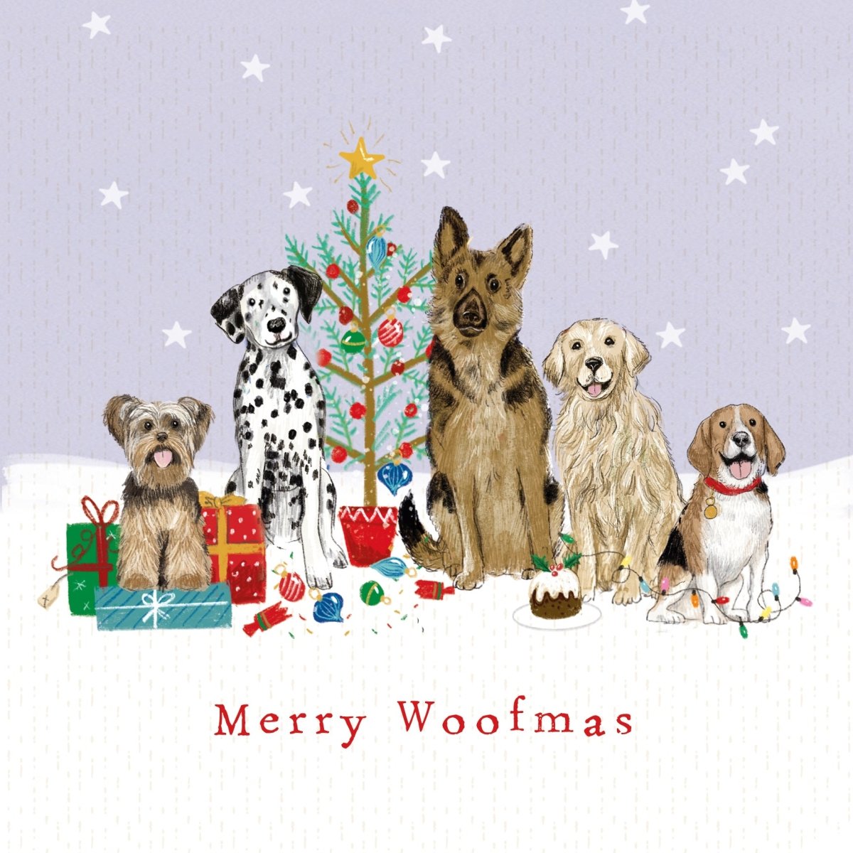 Paws in a Row Christmas Cards, 10 Pack