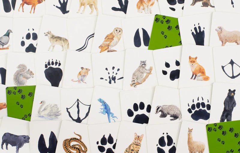 Match A Track Near You Game