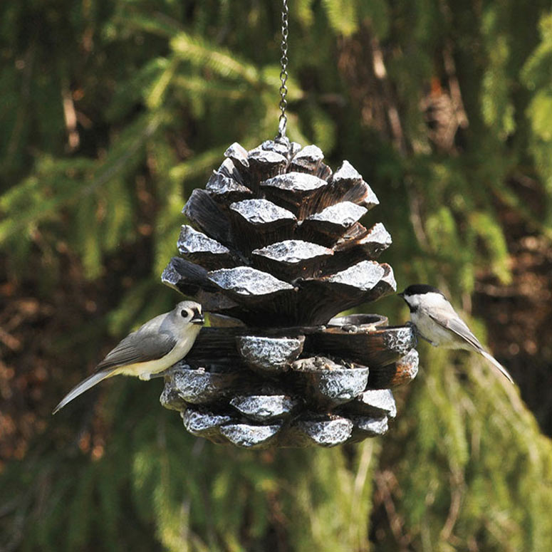 Pinecone Bird Feeder