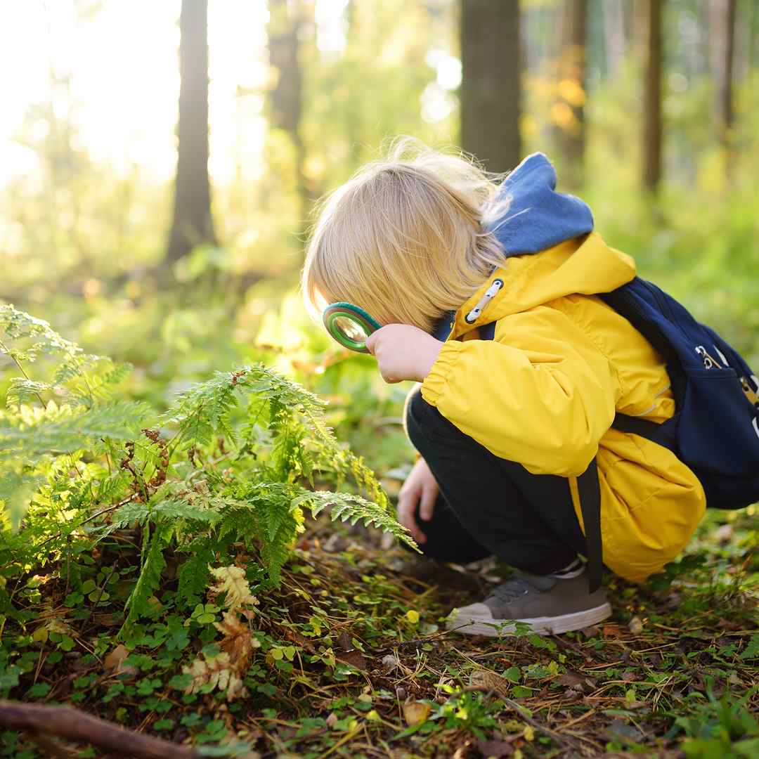 A child using a magnifying glass in a forest