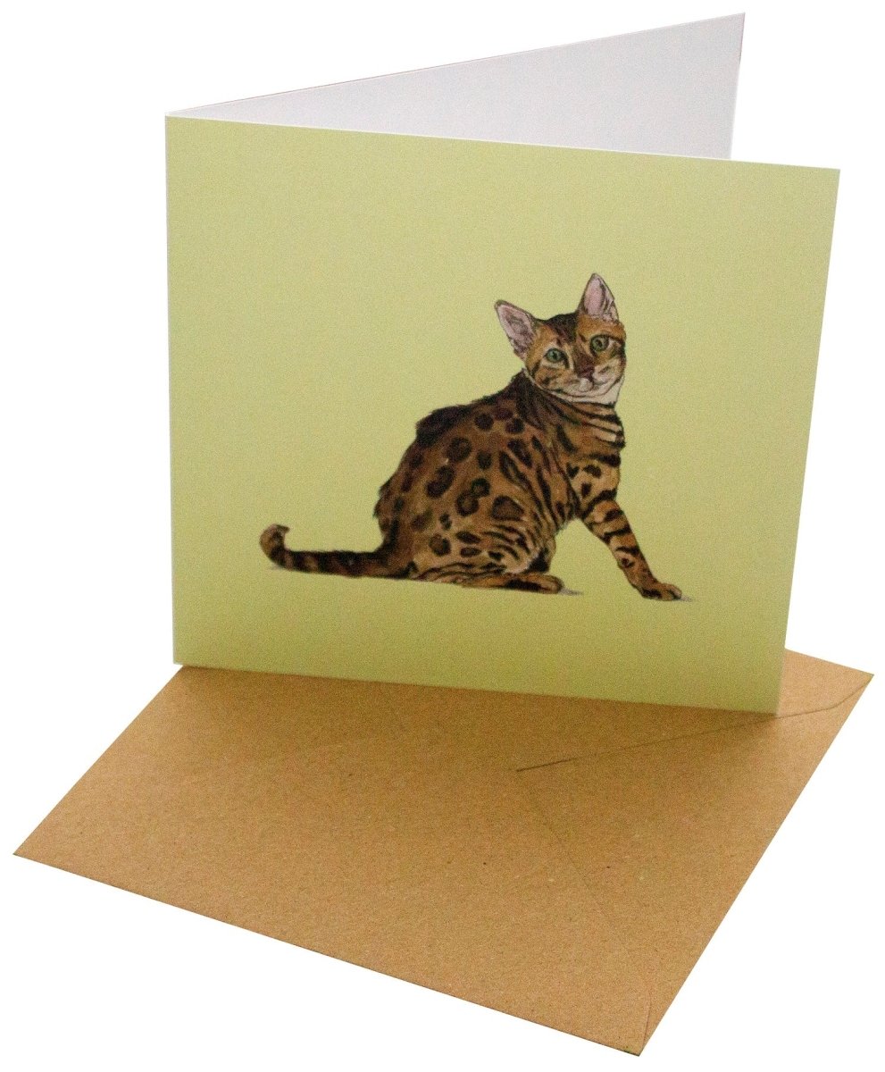 Cat Cards 10 pack by Sophie Botsford
