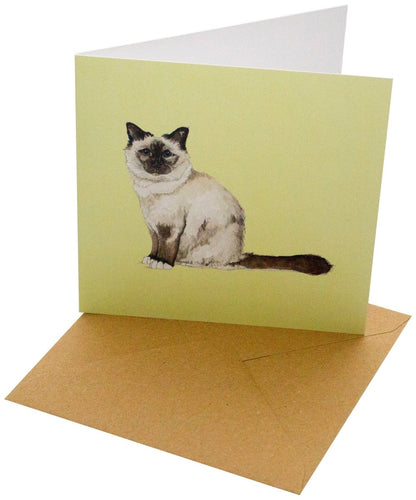 Cat Cards 10 pack by Sophie Botsford