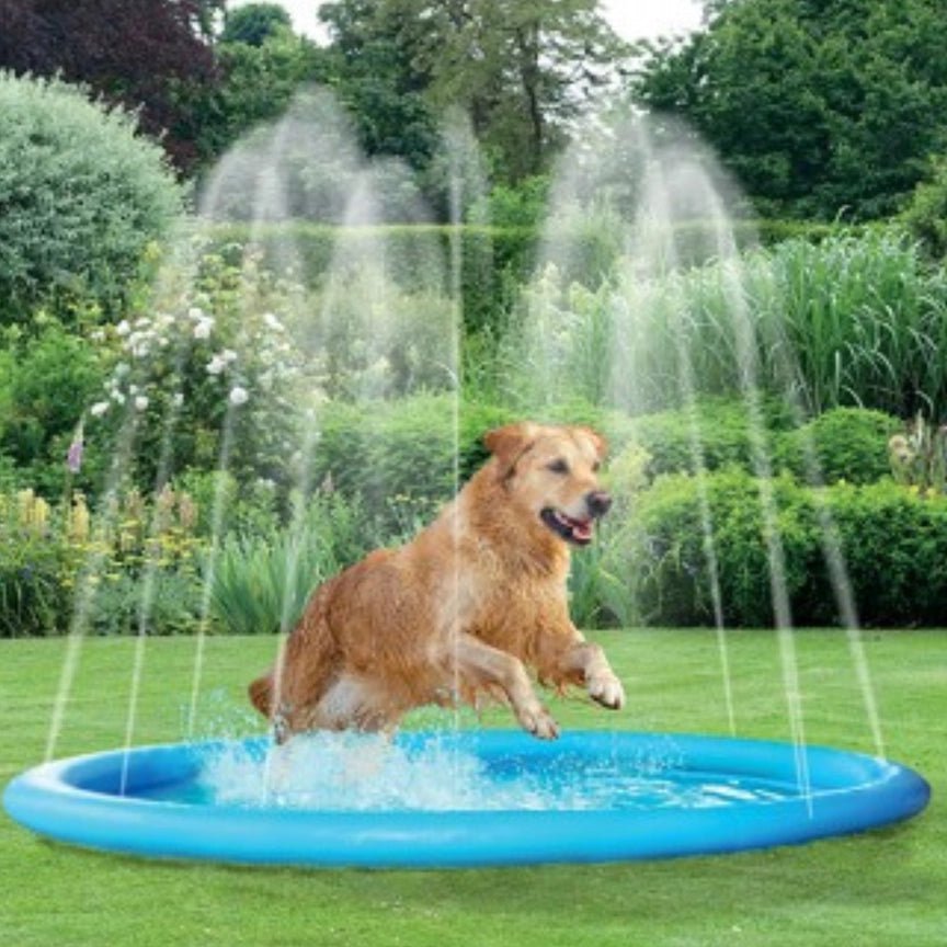 Dog Splash Pad & Sprinkler