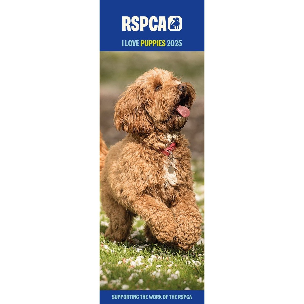 RSPCA Puppies Slim Calendar 2025 RSPCA Shop