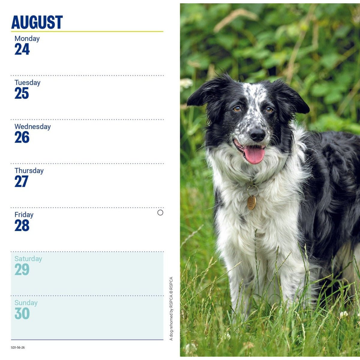 RSPCA Slim Pocket Diary 2026