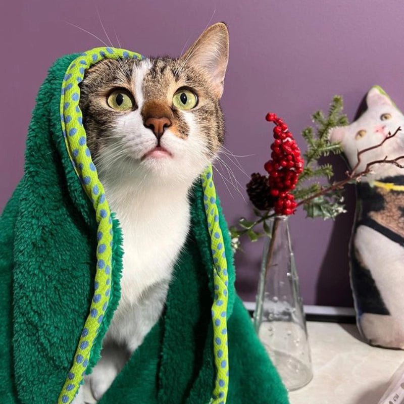 The Incredible Nap Pet Blanket