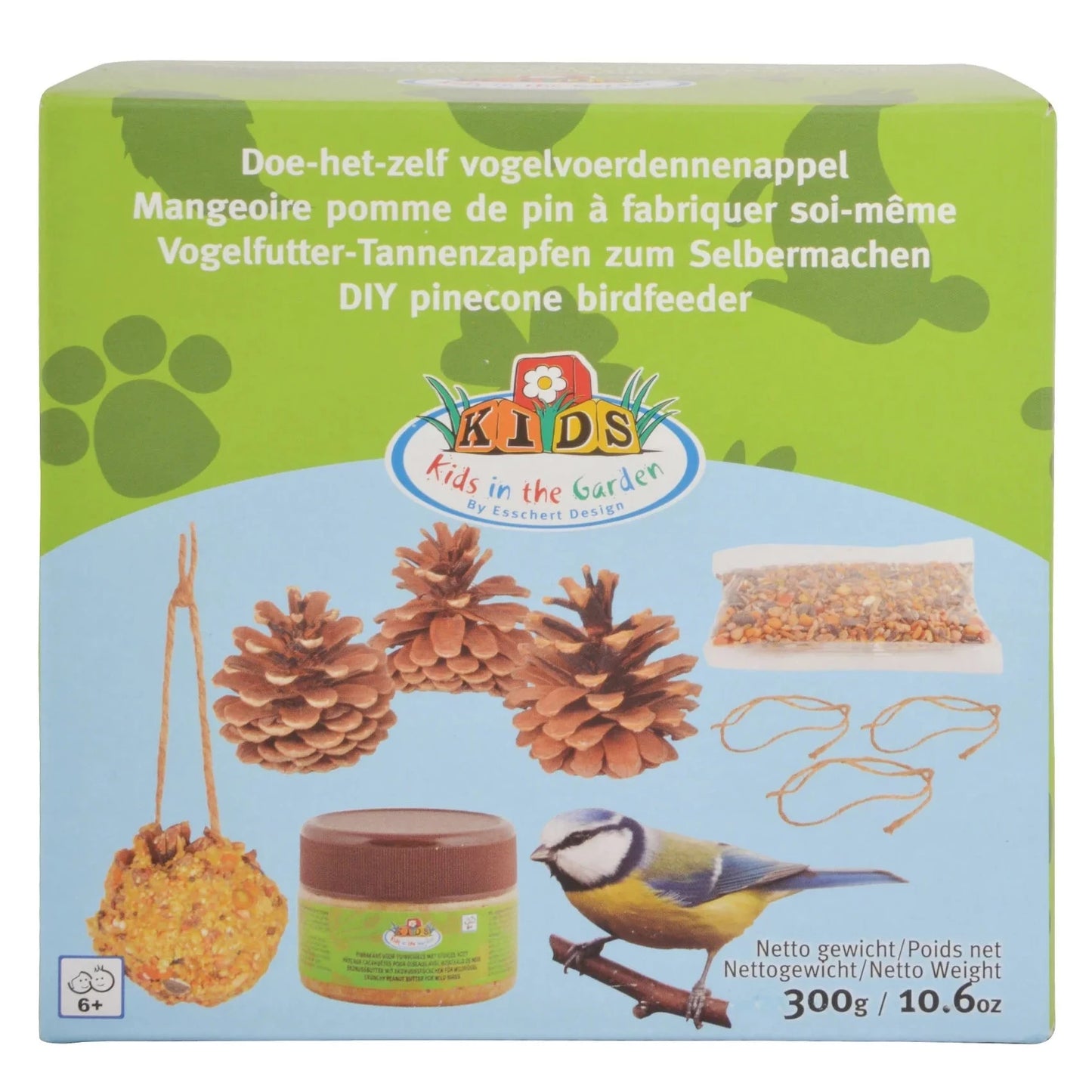 DIY Bird Food Pinecone