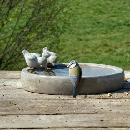 Concrete Bird Bath
