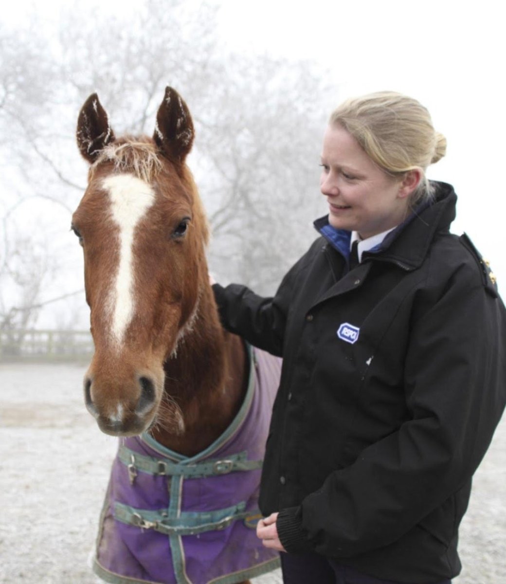 Peter James: Stop Them Dead, a Roy Grace Novel, Book