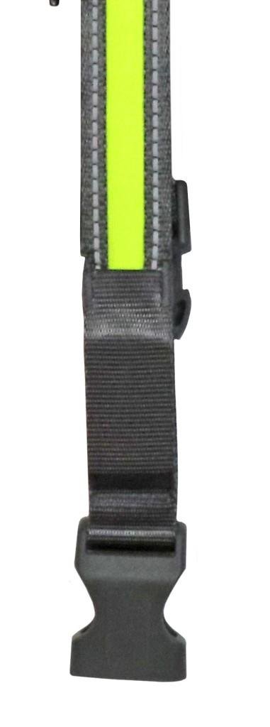 RSPCA Reflective LED Dog Collar