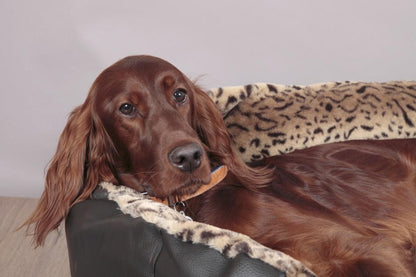 RSPCA Rectangular Faux Leather Dog Bed