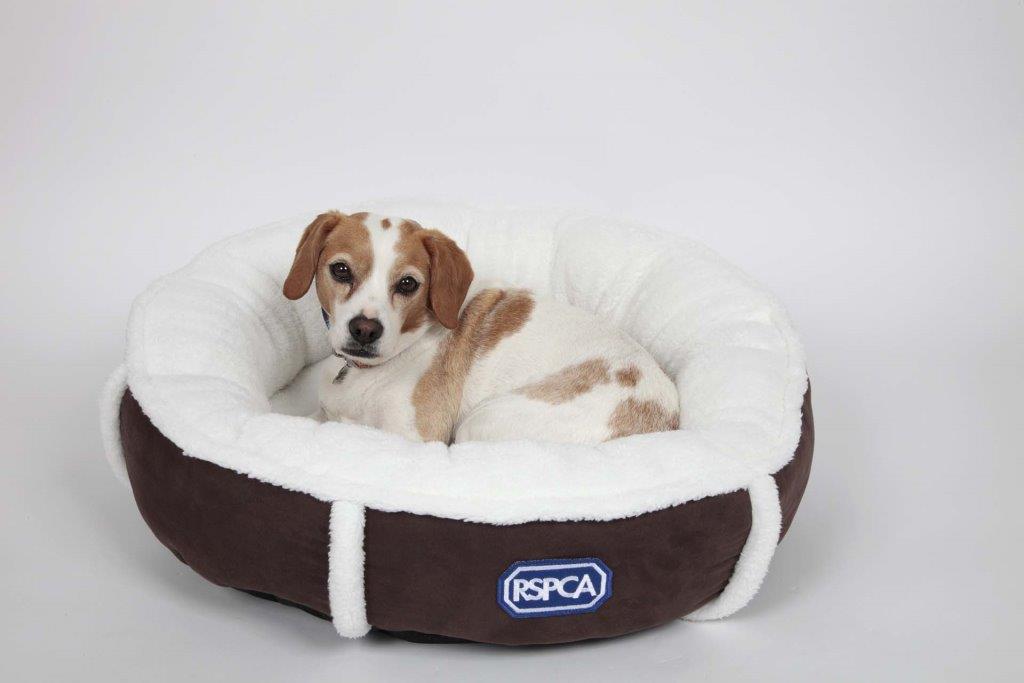 RSPCA Snuggle Dog Bed