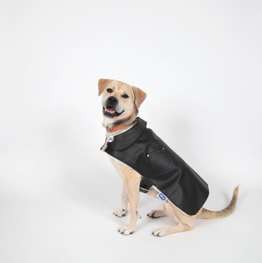 RSPCA Black Faux Leather Aviator Dog Jacket
