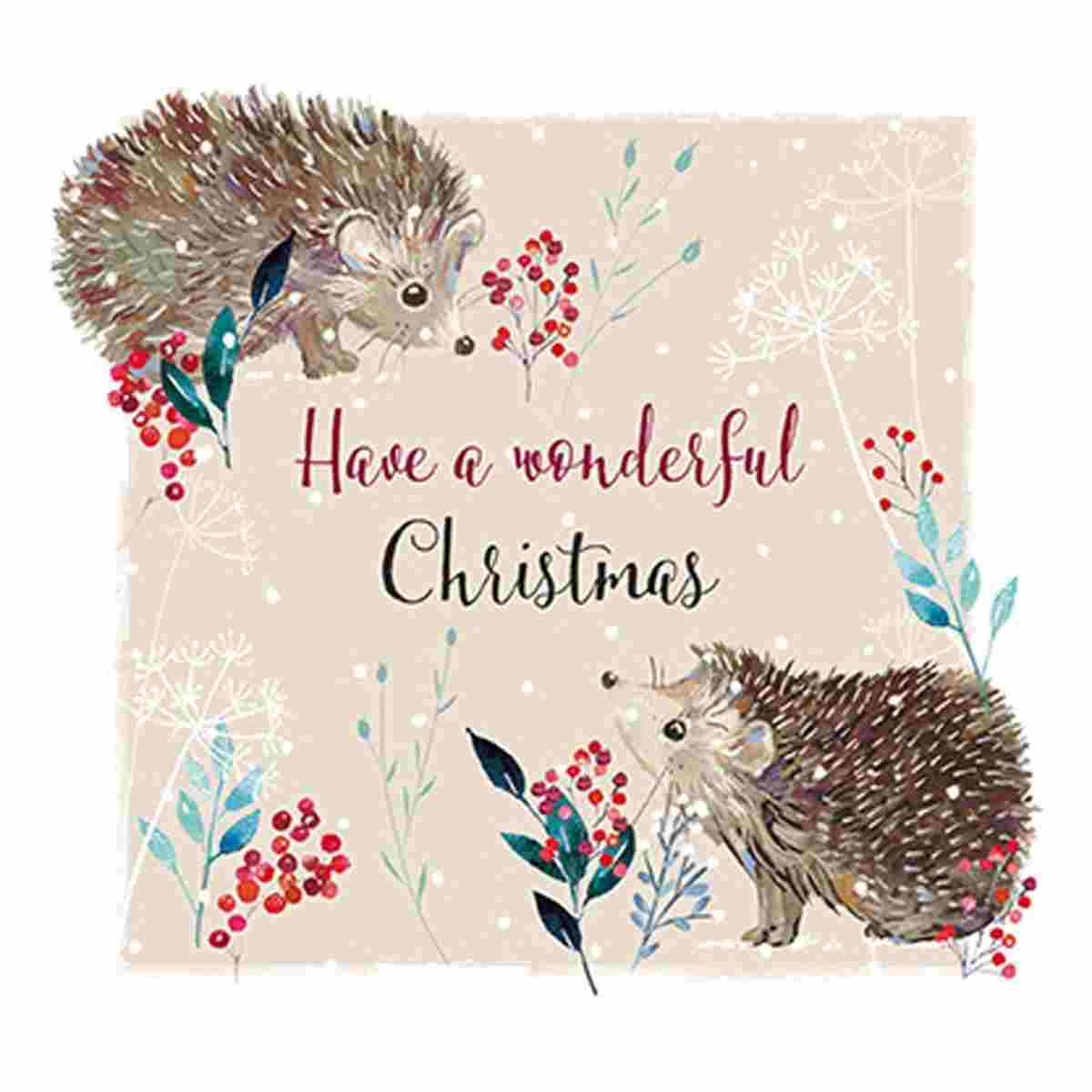 Mouse at Christmas & Hedgehog at Christmas Twin Pack Christmas Cards