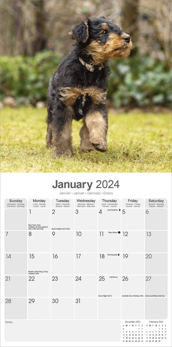 Airedale Square Wall Calendar 2024