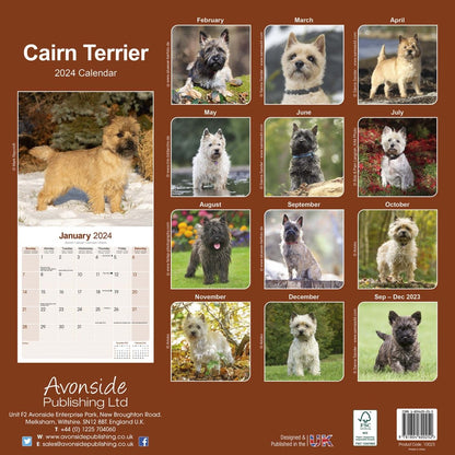 Cairn Terrier Square Wall Calendar 2024