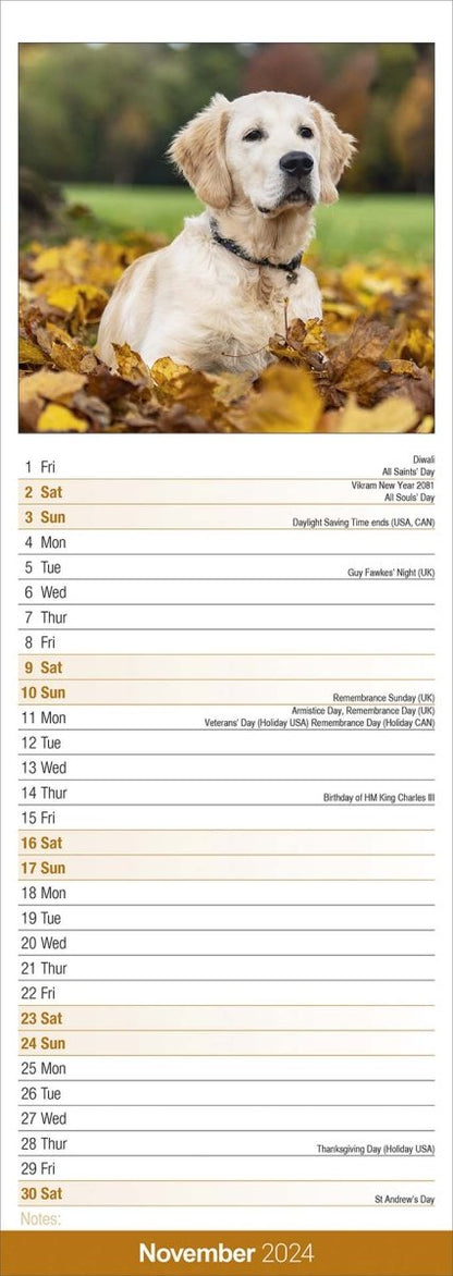 Golden Retriever Slim Calendar 2024