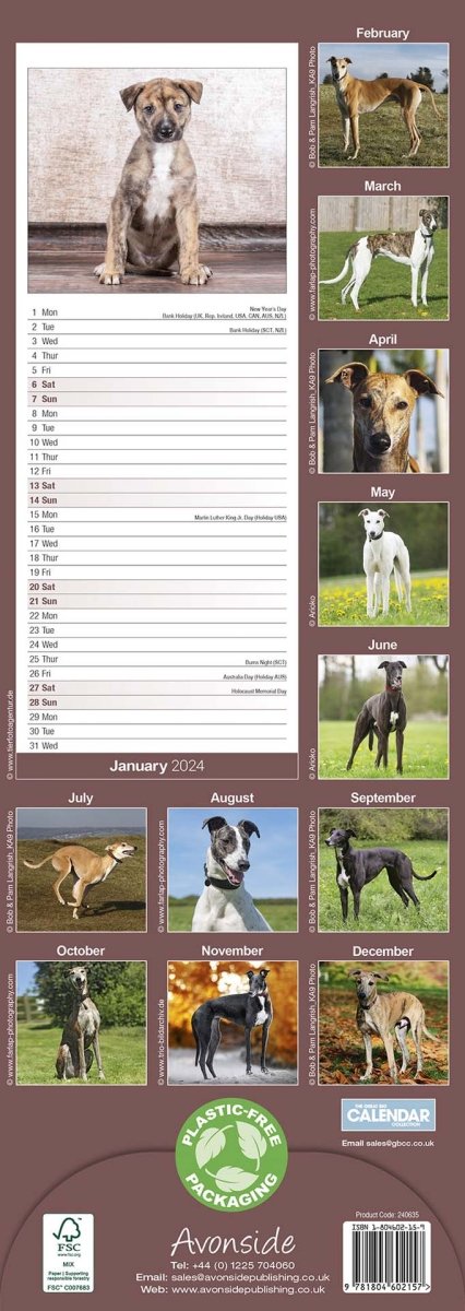 Greyhound Slim Calendar 2024