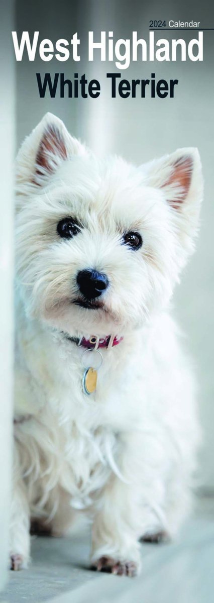 West Highland Terrier Slim Calendar 2024