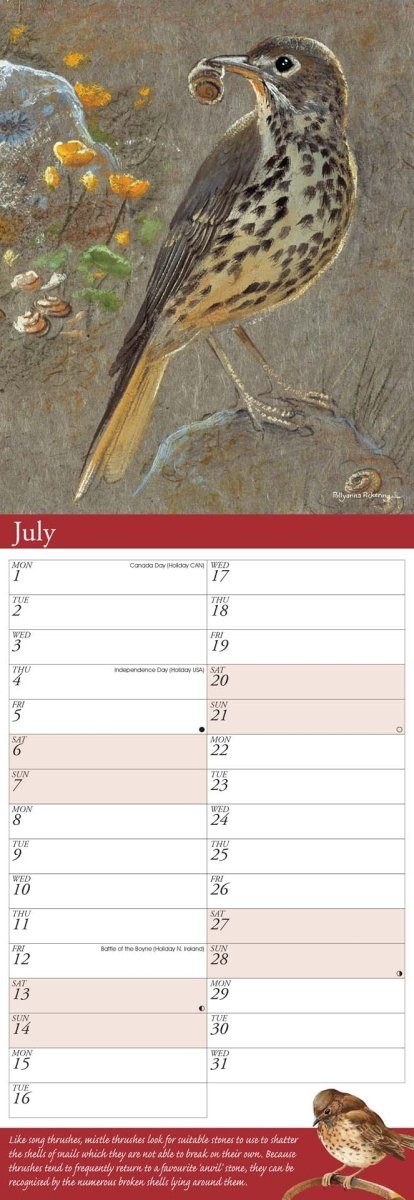 Garden Birds By Pollyanna Pickering (illustrated) Slim Calendar 2024