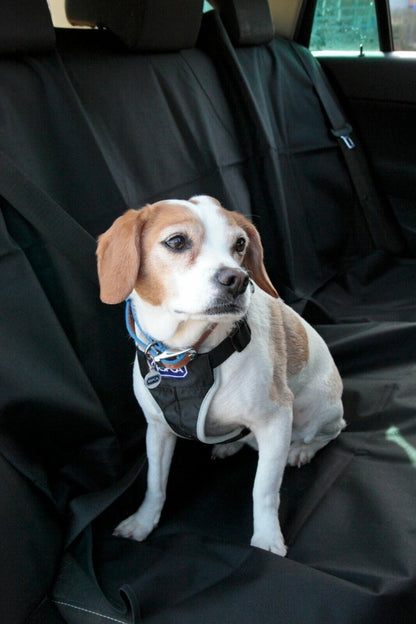 RSPCA Dog Car Seat Cover