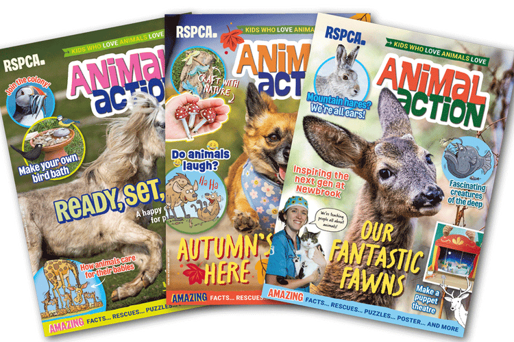 Animal Action magazine subscription - RSPCA Shop