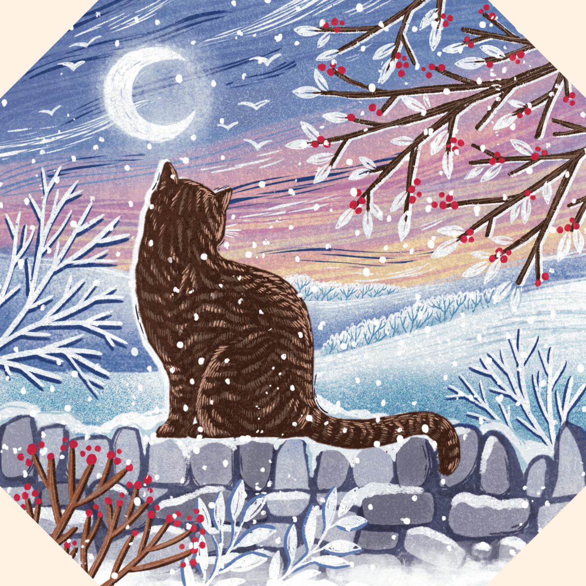 RSPCA CHRISTMAS CARDS - RSPCA Shop