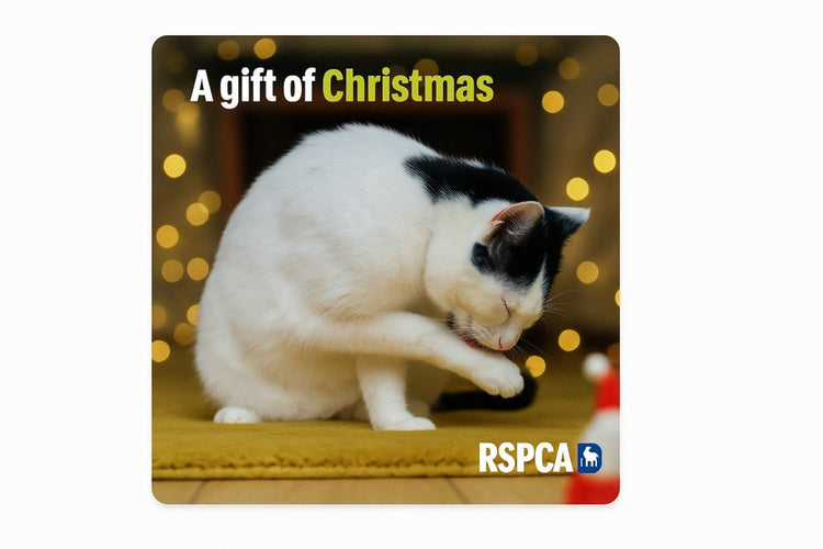 RSPCA Charity Gift Cards - RSPCA Shop