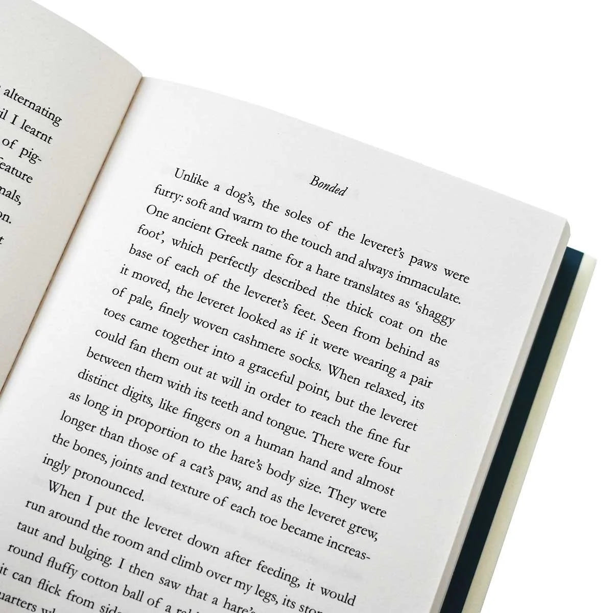 Chloe Dalton: Raising Hare