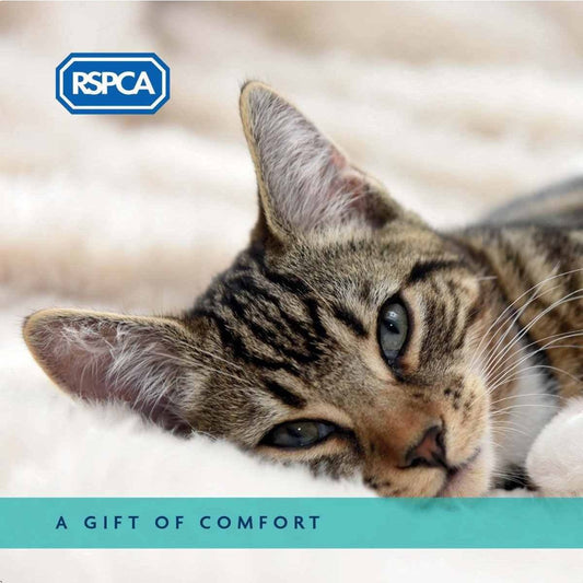 A Gift of Comfort - Cat Charity Gift Card, featuring a brown tabby cat and an RSPCA logo in the top left.