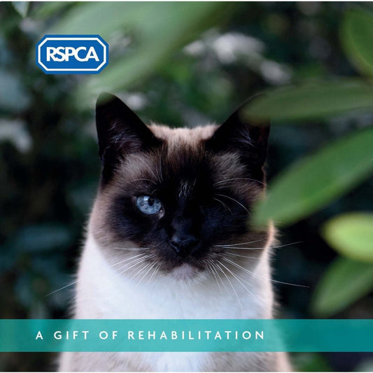 A Gift of Rehabilitation - Cat Charity Gift Card