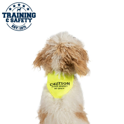 Yellow 'Respect My Space' Warning Dog Bandana