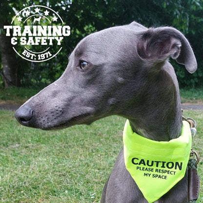 Yellow 'Respect My Space' Warning Dog Bandana