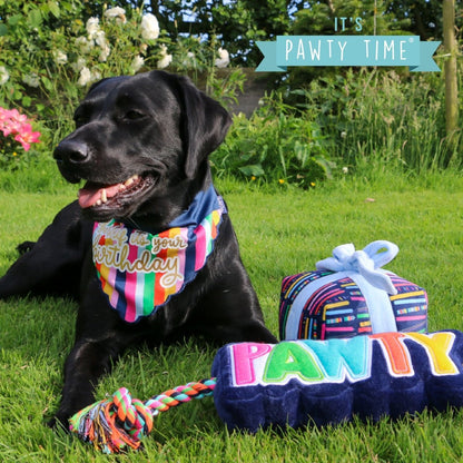 Pawty 'Bark If It's Your Birthday' Dog Bandana