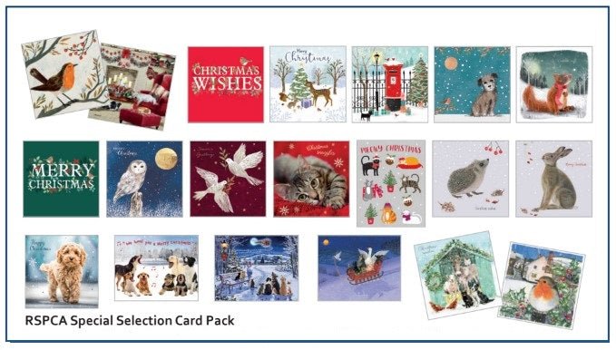 Mixed Bundle Bargain Selection of Christmas Cards (20 packs of 10 cards)