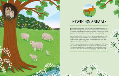 RHS Nature: A Magical Journey Through the Year Book